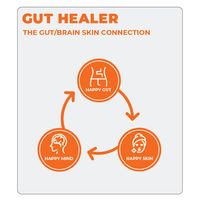 Bioteen Gut Healer - Unflavoured